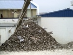 Oysters at back of restaurant in Crisfield